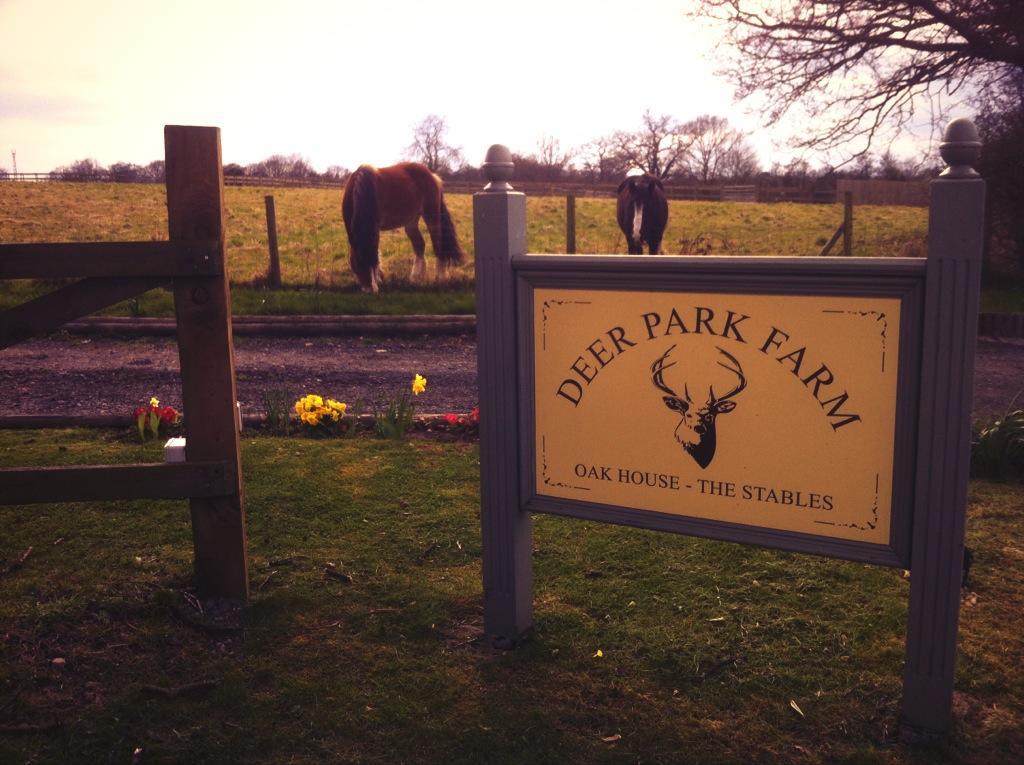 Bed and Breakfast The Stables - Deer Park Farm Solihull Pokoj fotografie